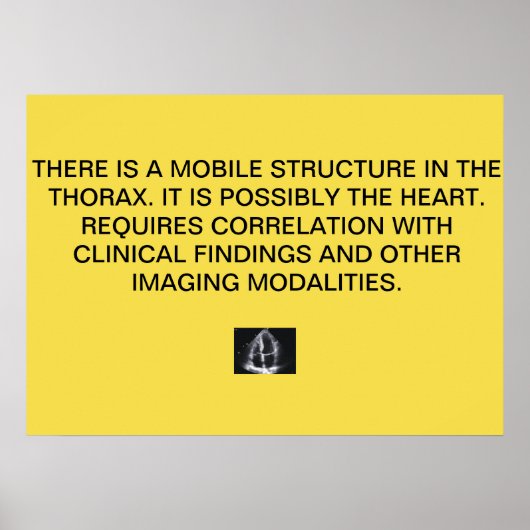 Kardiale Echo-Reportposter Poster (Vorne)