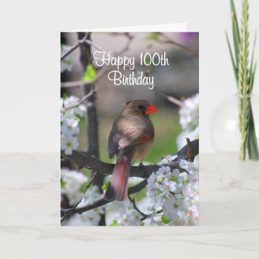 Kardinal 100. Geburtstag Karte (Vorderseite)