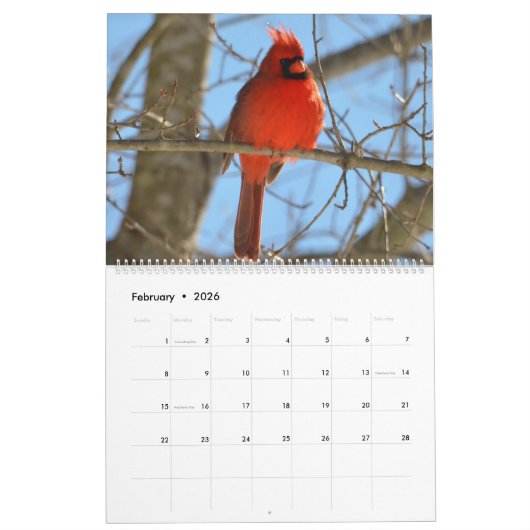 Kardinal 2020 kalender (Feb 2026)