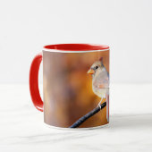 Kardinal 2716 tasse (Vorderseite Links)