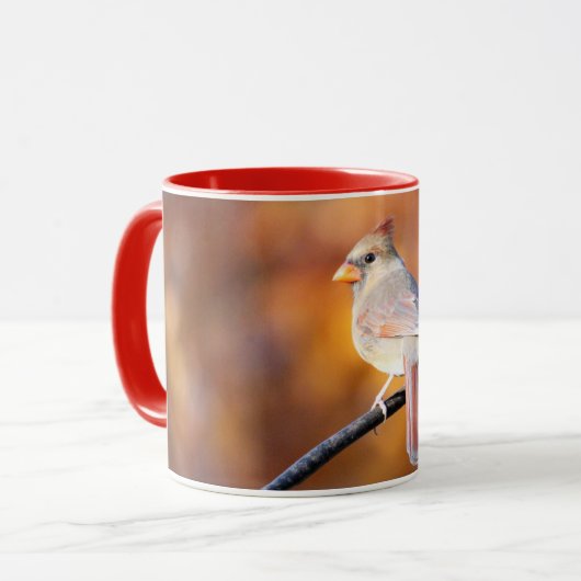 Kardinal 2716 tasse (Vorderseite Links)