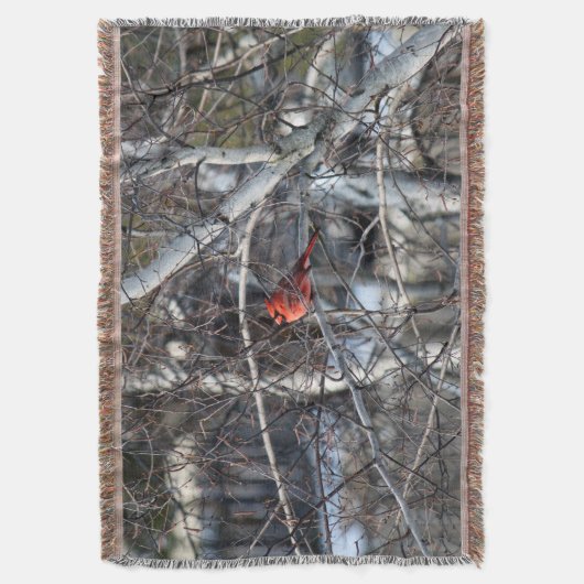 Kardinal 2926 Blanket Decke (Vorderseite Vertikal)