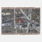 Kardinal 2926 Blanket Decke (Vorderseite)