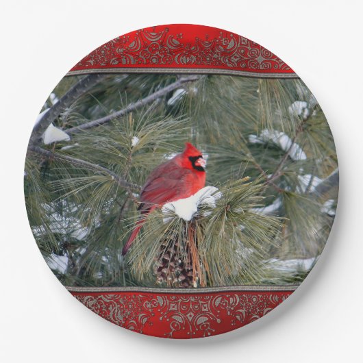 Kardinal 3097 Papierplatte Pappteller (Vorderseite)