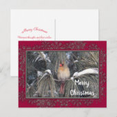 Kardinal 3225 Schneekiefern Postkarte (Vorne/Hinten)