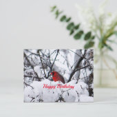 Kardinal 6216 Geburtstagskarte Postkarte (Stehend Vorderseite)
