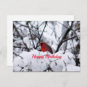 Kardinal 6216 Geburtstagskarte Postkarte (Vorne/Hinten)