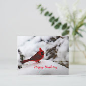 Kardinal 6239 Geburtstagskarte Postkarte (Stehend Vorderseite)