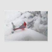 Kardinal 6239 Gewebepapier Seidenpapier (Vorderseite)