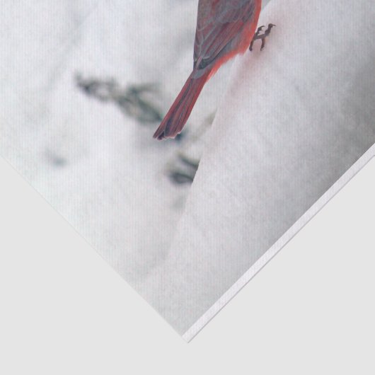 Kardinal 6239 Gewebepapier Seidenpapier (Ausschnitt)