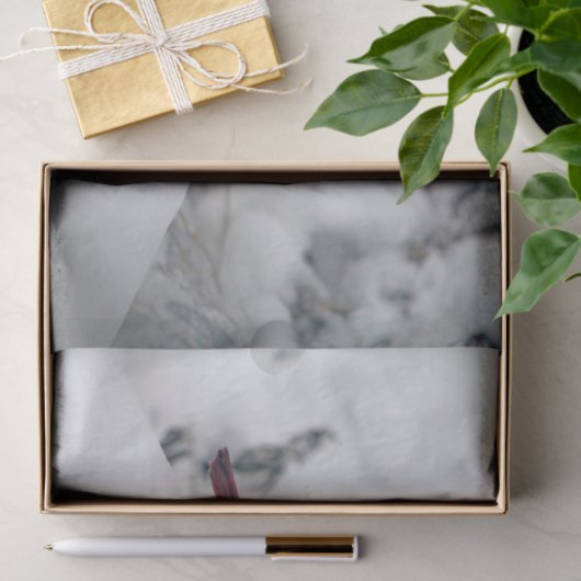 Kardinal 6239 Gewebepapier Seidenpapier (Geschenk)