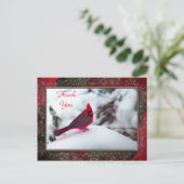 Kardinal 6241 Frame TY Postkarte (Stehend Vorderseite)