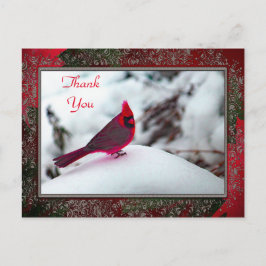 Kardinal 6241 Frame TY Postkarte