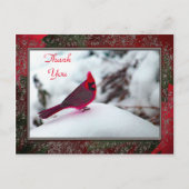 Kardinal 6241 Frame TY Postkarte (Vorderseite)