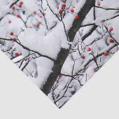 Kardinal 6254 Gewebepapier Seidenpapier (Ausschnitt)