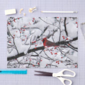 Kardinal 6254 Gewebepapier Seidenpapier (Handwerk)