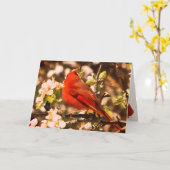 Kardinal am Geburtstag von Apple Blüten Karte (Gelbe Blume)