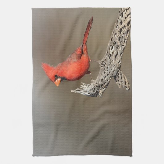 Kardinal an einer Kollabrippe Geschirrtuch (Vertikal)