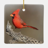 Kardinal an einer Kollabrippe Keramikornament (Rückseite)