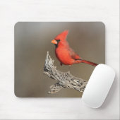 Kardinal an einer Kollabrippe Mousepad (Mit Mouse)