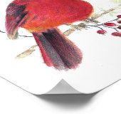 Kardinal Aquarell Kunst drucken Poster (Ecke)