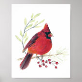 Kardinal Aquarell Kunst drucken Poster (Vorne)