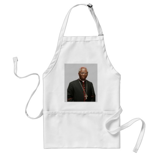 Kardinal Arinze Schürze (Vorne)