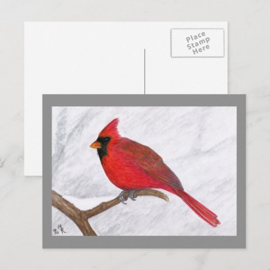 Kardinal Art Postkarte (Vorne/Hinten)