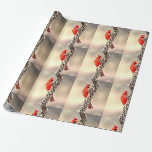 Kardinal auf einem Cholla Geschenkpapier (Ungerollt)
