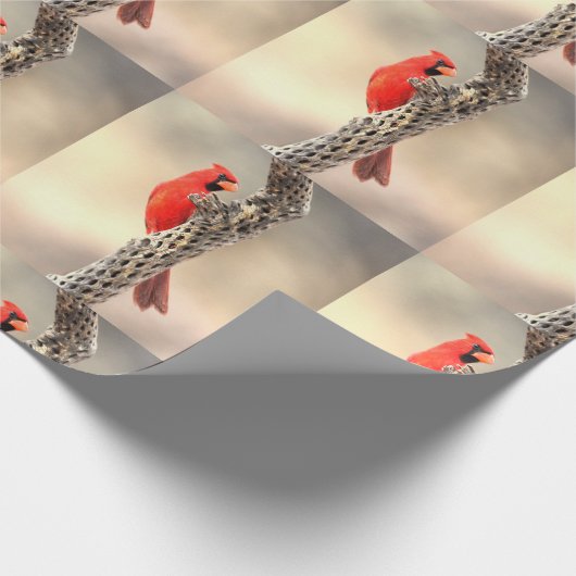 Kardinal auf einem Cholla Geschenkpapier (Ecke)