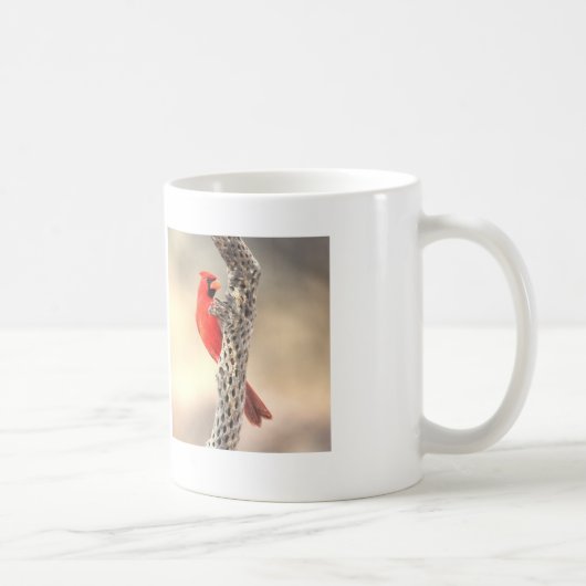 Kardinal auf einem Cholla Kaffeetasse (Rechts)