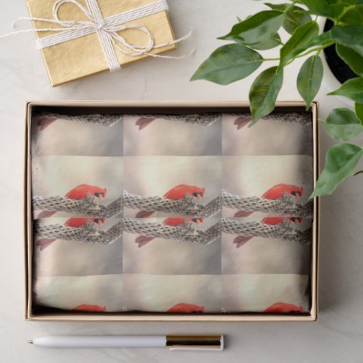 Kardinal auf einem Cholla Seidenpapier (Geschenk)