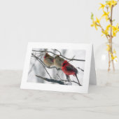 KARDINAL AUF EINEM LIMB *GUT* WÜNSCHEN KARTE (Gelbe Blume)