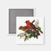 Kardinal auf einem quadratischen Magneten Magnet (Vorderseite/Rückseite)