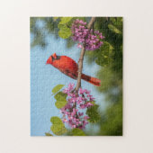 Kardinal auf einem Redbud-Ast Puzzle (Vertikal)