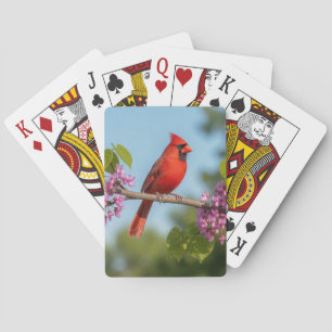Kardinal auf einem Redbud-Ast Spielkarten