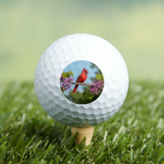 Kardinal auf einem Redbud-Zweig Golfball
