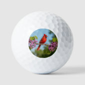 Kardinal auf einem Redbud-Zweig Golfball (Vorderseite)