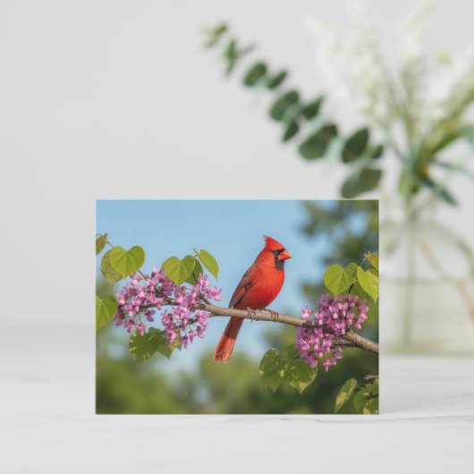 Kardinal auf einem Redbud-Zweig Postkarte (Stehend Vorderseite)