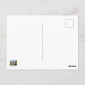 Kardinal auf einem Redbud-Zweig Postkarte (Rückseite)