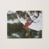 Kardinal auf einem Snowy Bush Puzzle (Horizontal)