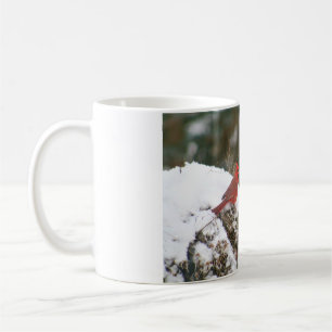 Kardinal auf einen Snowy Bush Kaffeetasse