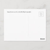 Kardinal auf einer Kolla Postkarte (Rückseite)
