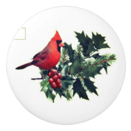 Kardinal auf Holly Keramik Pull Keramikknauf