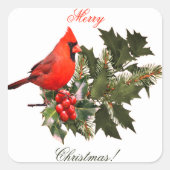 Kardinal auf Holly-Umschlag Aufklebern/Labels/ Quadratischer Aufkleber (Vorderseite)