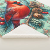 Kardinal auf Kiefernzweig mit Winterbeeren Sherpadecke (3/4)