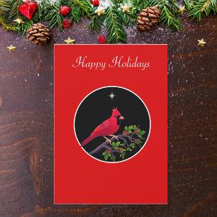 Kardinal auf schwarzem und rotem Urlaub