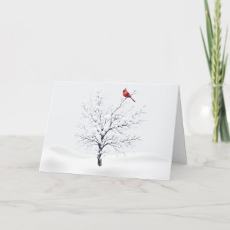 Kardinal auf Snowy Tree Weihnachtskarte Feiertagskarte