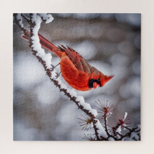 Kardinal auf Winterzweig Puzzle (Horizontal)