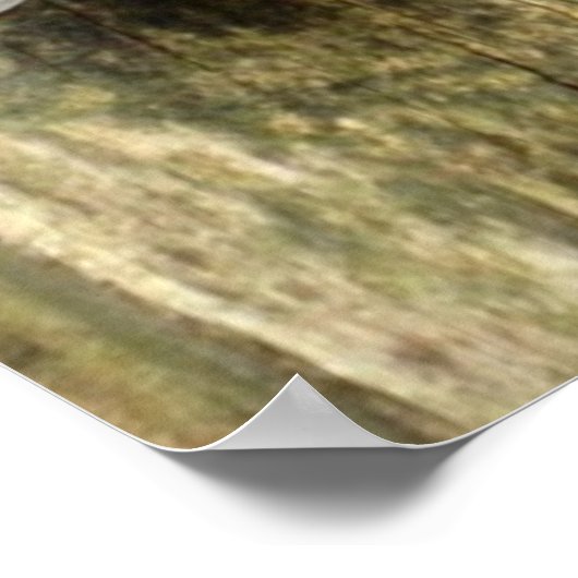 Kardinal auf Zaunplakat Poster (Ecke)